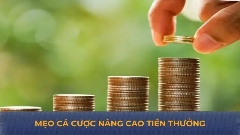 Bong88 – Giới Thiệu Chi Tiết Các Dịch Vụ Cá Cược Hấp Dẫn