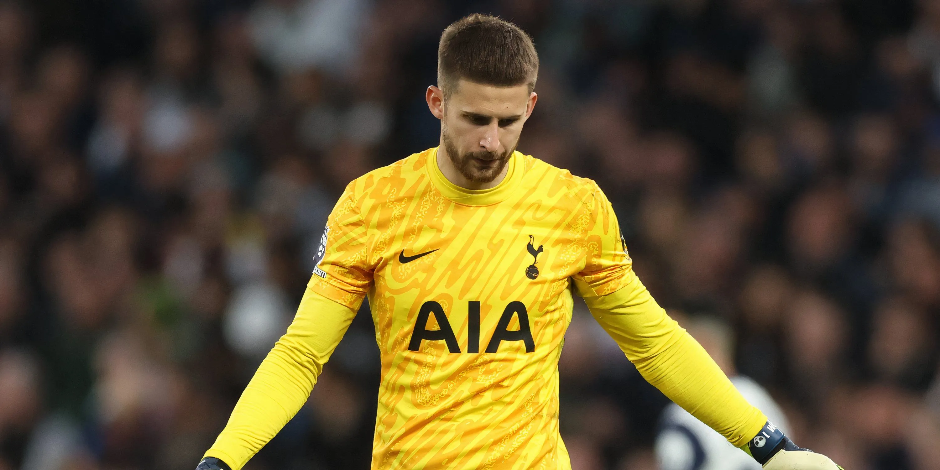 Guglielmo Vicario Tottenham Premier League