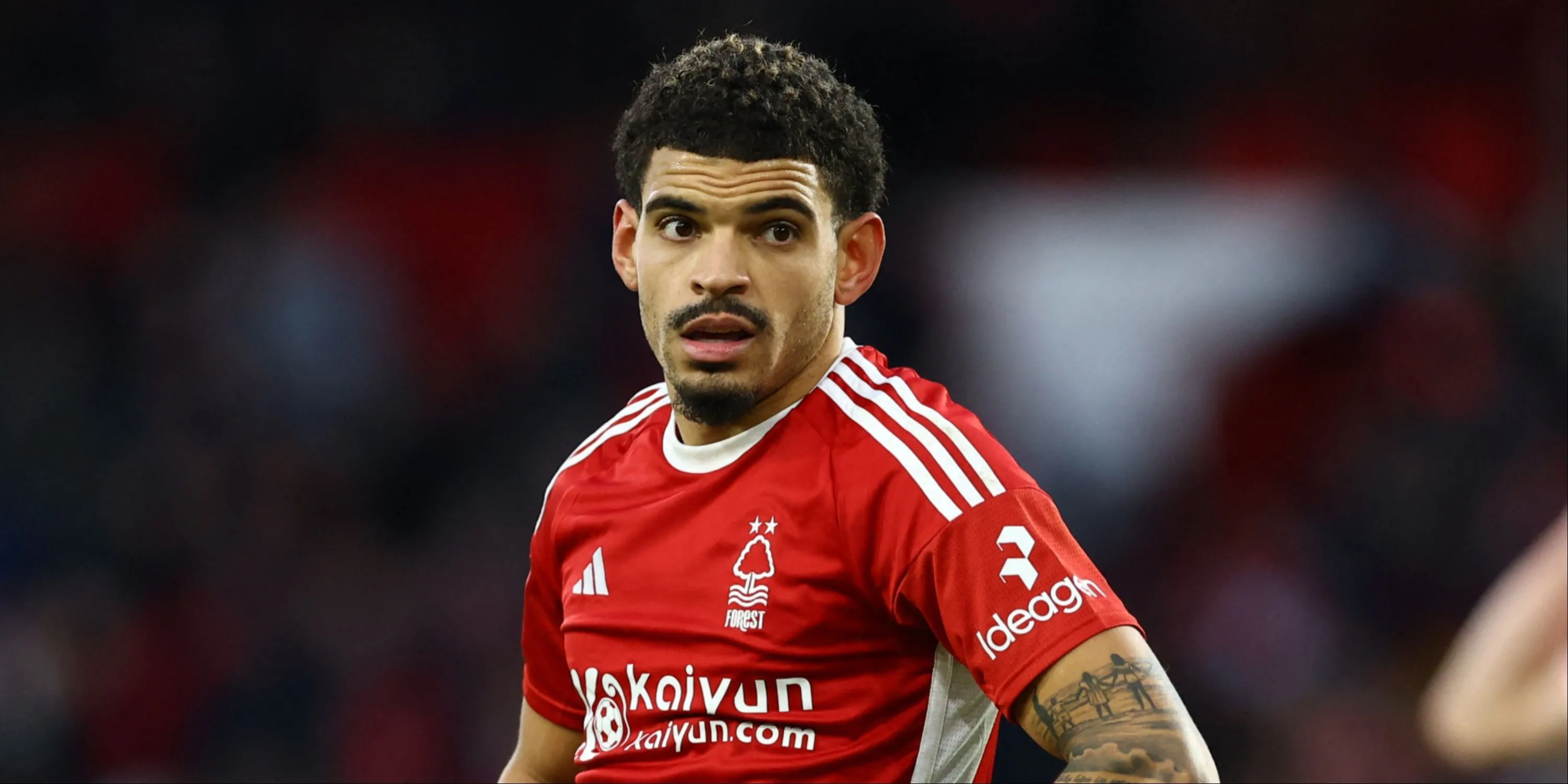 Morgan Gibbs-White, ngôi sao của Nottingham Forest