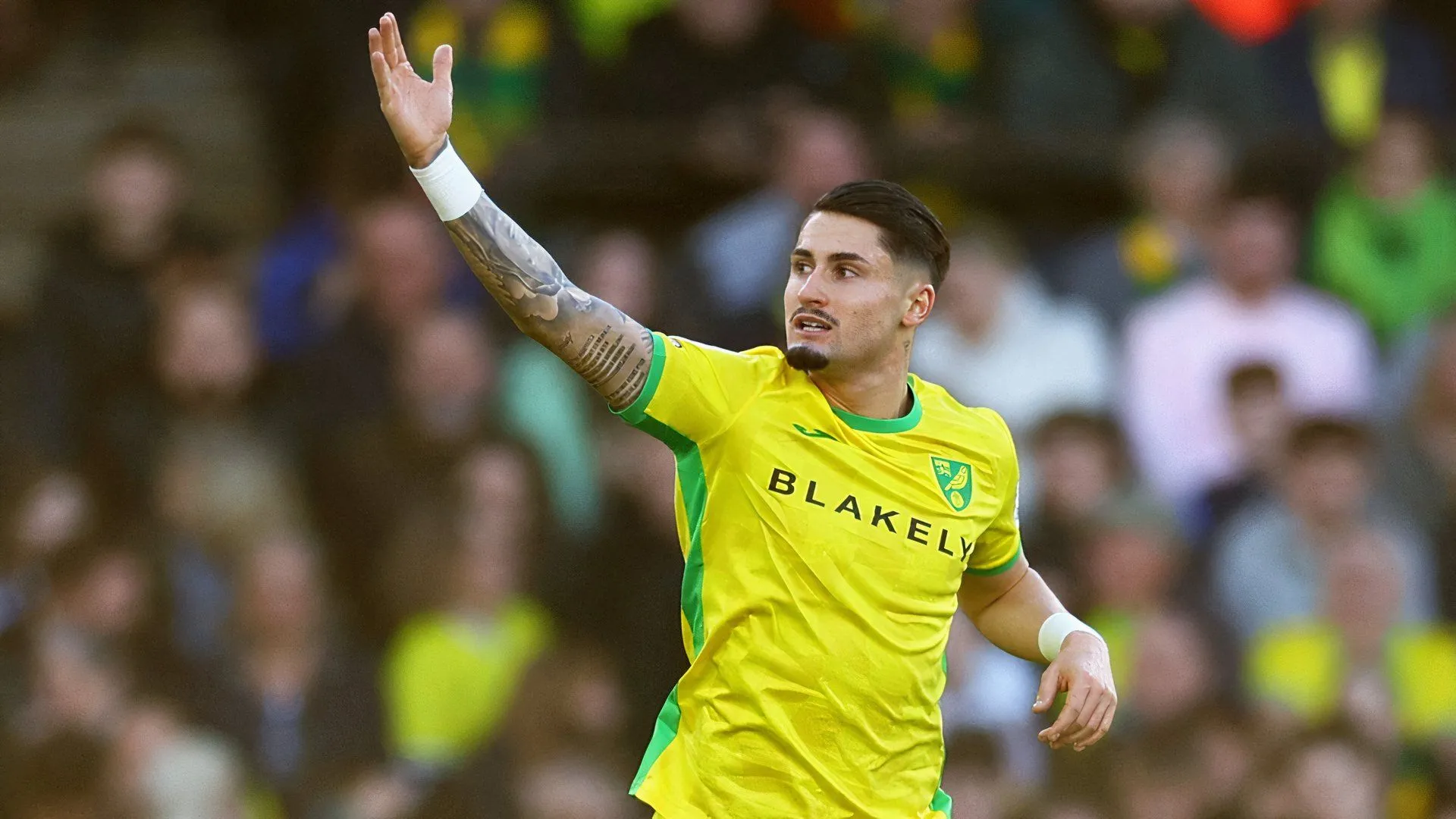 Borja Sainz thi đấu trong màu áo Norwich City tại giải Championship