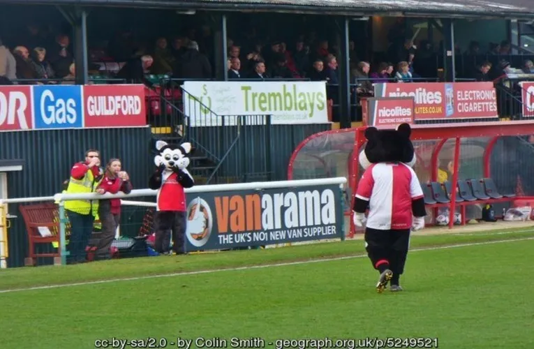 Linh vật K.C. Kat của câu lạc bộ Woking FC trong ngày thi đấu