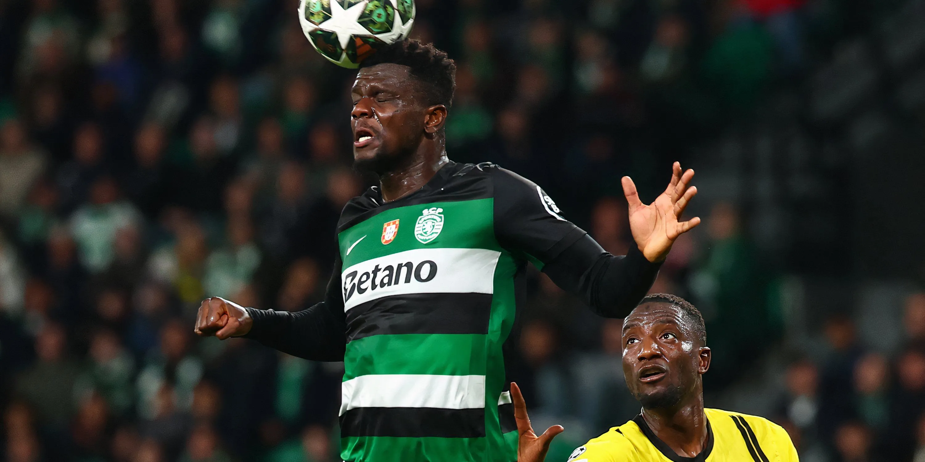 Ousmane Diomande trong màu áo Sporting CP