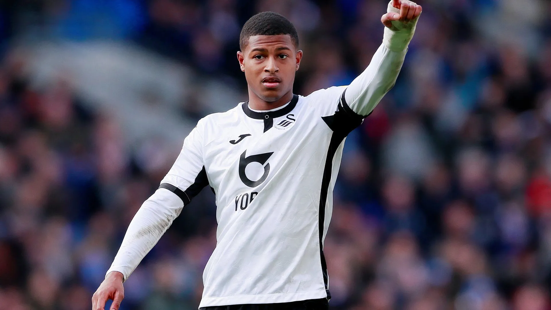 Rhian Brewster ăn mừng bàn thắng cho Swansea City