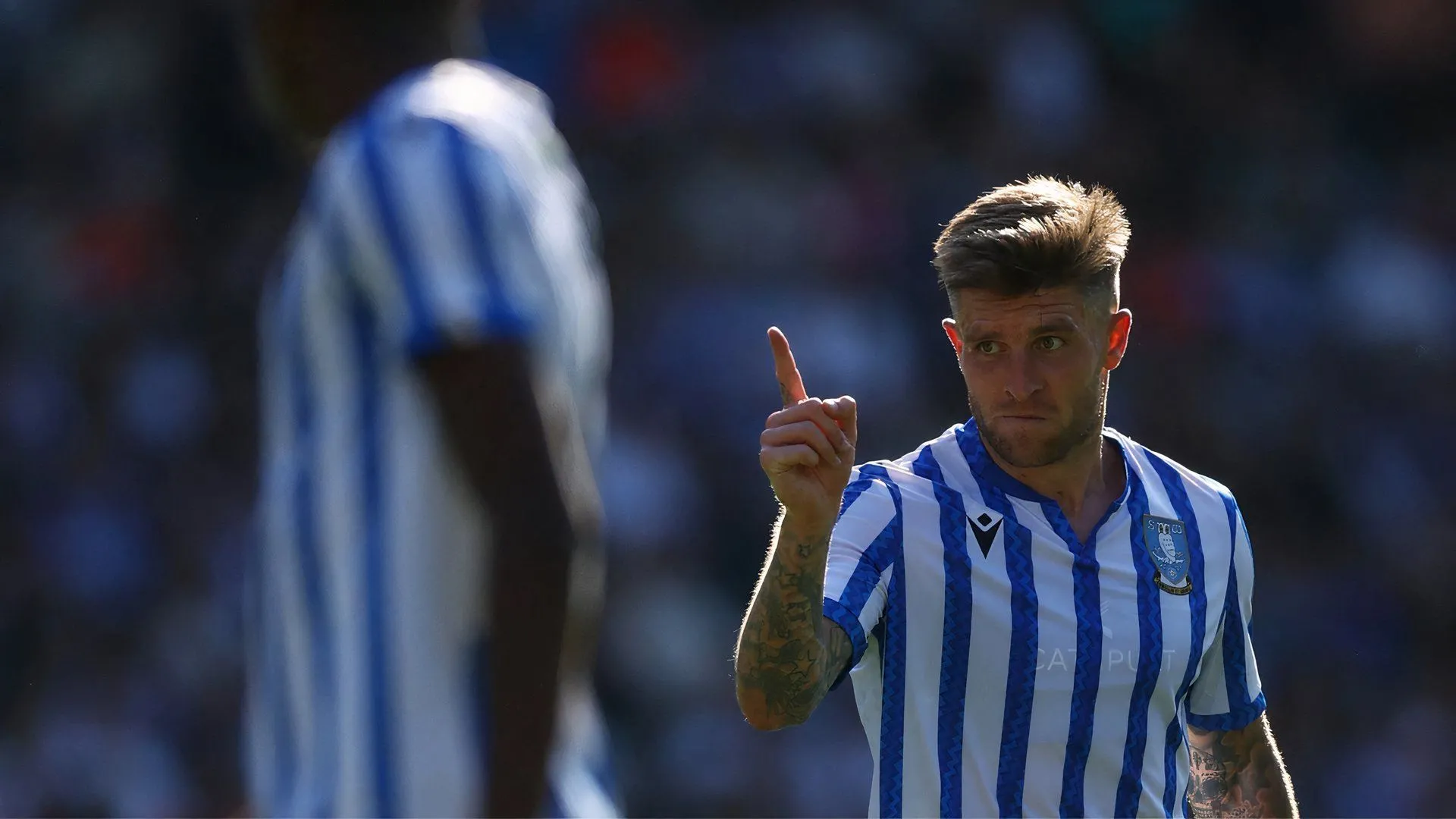 Tiền đạo Josh Windass trong màu áo Sheffield Wednesday