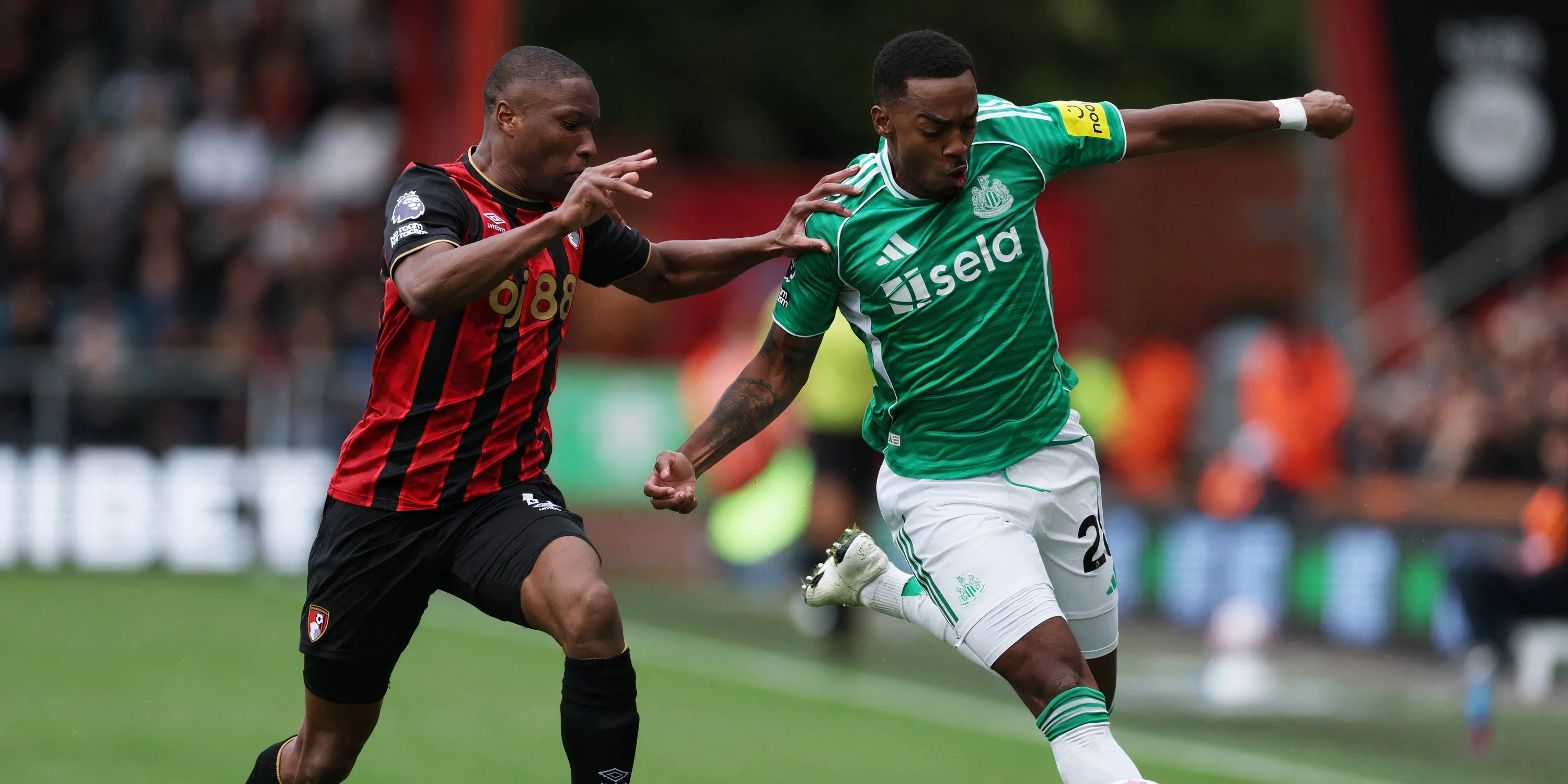 Joe Willock trong màu áo Newcastle United đang cố gắng tìm lại phong độ